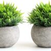 2 Pcs Small Artificial Potted Plants for Home & Office Decor