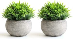 2 Pcs Small Artificial Potted Plants for Home & Office Decor