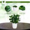 Artificial Rubber Plant with Pot - 28 cm Realistic Greenery for Home & Office Decor