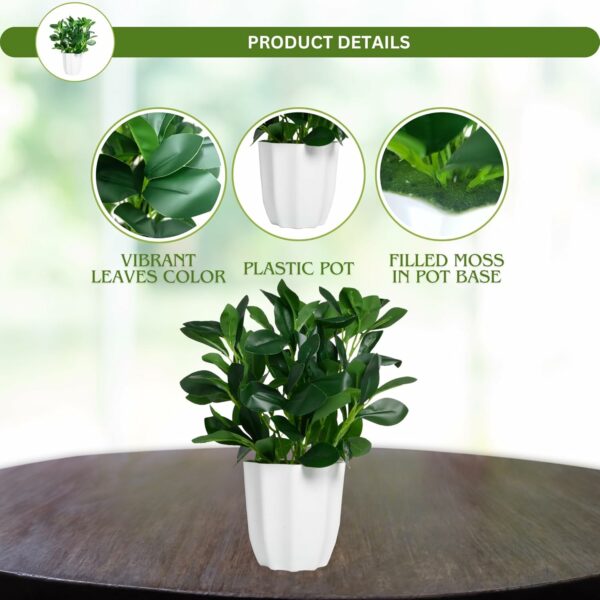 Artificial Rubber Plant with Pot - 28 cm Realistic Greenery for Home & Office Decor - Image 2