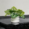 Artificial Plants for Home Decor - Pack of 4, Multicolor