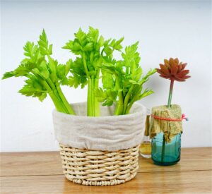 Lifelike Artificial Celery Decoration - 10.2" PVC