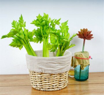 Lifelike Artificial Celery Decoration - 10.2" PVC