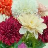 Artificial Dahlia Flower Bunch with Wooden Pot - 25cm Multicolor