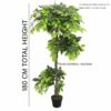 6 FT Ficus Artificial Plant with Basic Pot - Perfect Home Decor