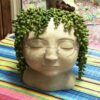 3 Pc Artificial Hanging Succulents - String of Pearls Decor