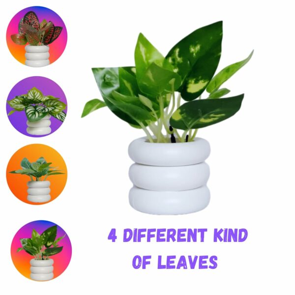 Artificial Plants for Home Decor - Pack of 4, Multicolor - Image 4