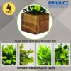 4 Pack Artificial Potted Eucalyptus Plants in Wooden Pots