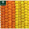 10 Pcs Indian Handmade Artificial Marigold Garland Flowers - 4.5-4.9Ft for Decoration