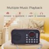 Portable FM Radio with Bluetooth and Rechargeable Battery