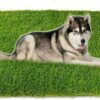 High Density Artificial Grass Carpet Mat - 6.5 x 5 ft, Natural Green
