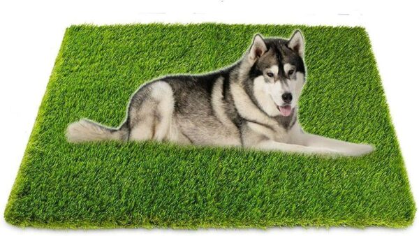 High Density Artificial Grass Carpet Mat - 6.5 x 5 ft, Natural Green - Image 3