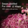Premium Rose Water Toner - 250ml (Pack of 3) | Hydrates & Balances Skin