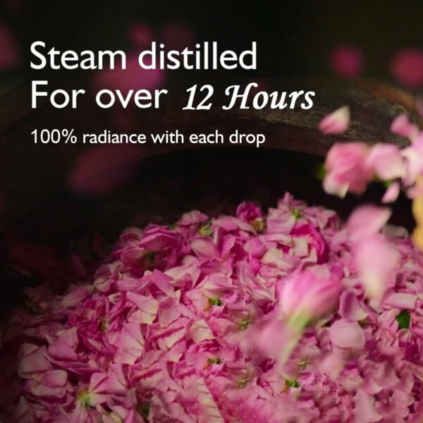 Premium Rose Water Toner - 250ml (Pack of 3) | Hydrates & Balances Skin - Image 4