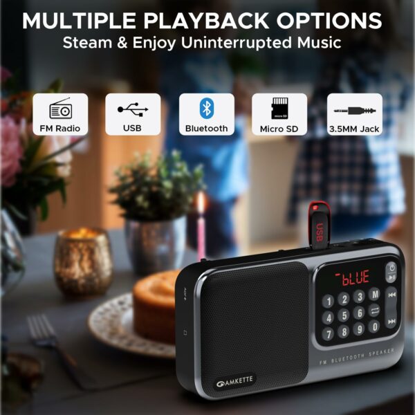 Pocket Mate Digital FM Radio with Bluetooth Speaker - 8H Playtime, Type C Charging, Antenna, Multiple Playback - Image 2