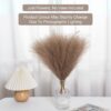 3-Piece Artificial Pampas Grass Set | French Beige Stems for D?cor