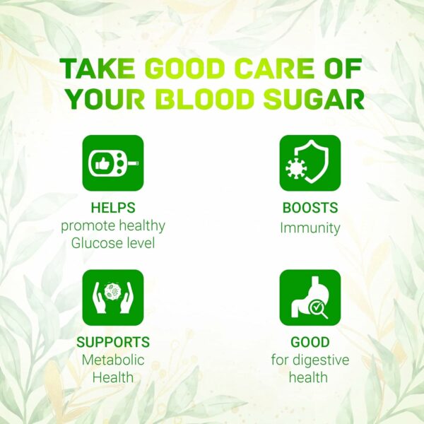 Jamun Neem Karela Juice 1L - Supports Healthy Blood Sugar - Image 3