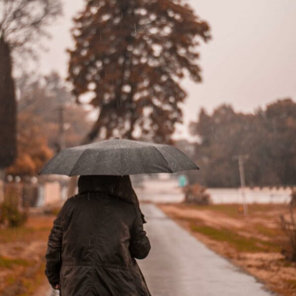 UV Protection Automatic Open Close Windproof Umbrella for All - Image 6