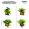 4 Pack Artificial Potted Eucalyptus Plants in Wooden Pots