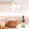 Clove Bud Essential Oil - Pure & Natural for Hair, Skin, Tooth