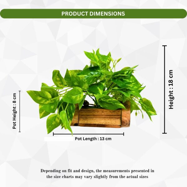 Artificial Money Plant with Woodlog Pot - 18 cm - Home & Office D?cor - Image 4