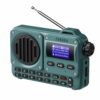 Portable 5W FM Radio with Bluetooth, USB, TF Card, LCD Display