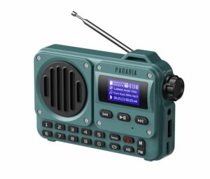 Portable 5W FM Radio with Bluetooth, USB, TF Card, LCD Display