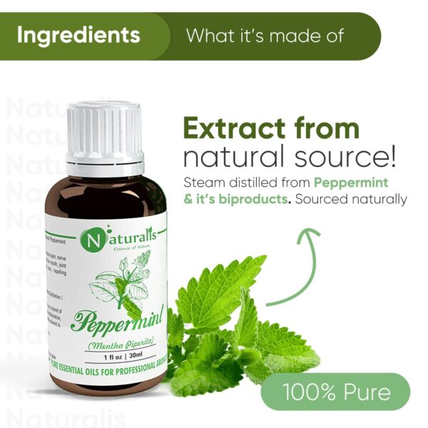 Pure Peppermint Essential Oil - Therapeutic Grade 30ml - Image 2