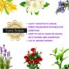 Pack of 5 Essential Oils - Lavender, Lemongrass, Jasmine, Orange, Rose