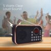 Portable FM Radio with Bluetooth and Rechargeable Battery