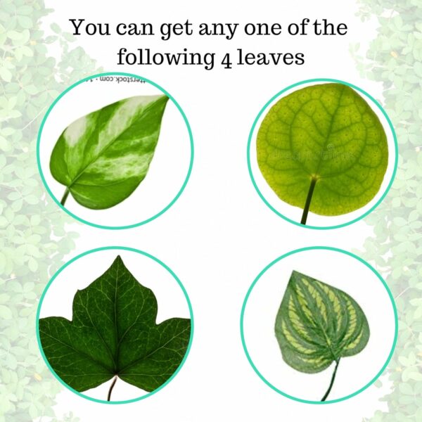Artificial Money Plant Vine - 7.2Ft Home Decor Greenery - Image 3