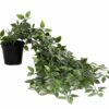 Artificial Plant with Pot - Maintenance Free Indoor Decoration