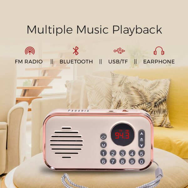 Portable FM Radio with Bluetooth, USB, TF & Type C Charging - Image 3