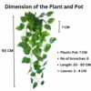 Artificial Hanging Ivy Plants with Pot - 50 cm (2 Pcs) for Home Decor