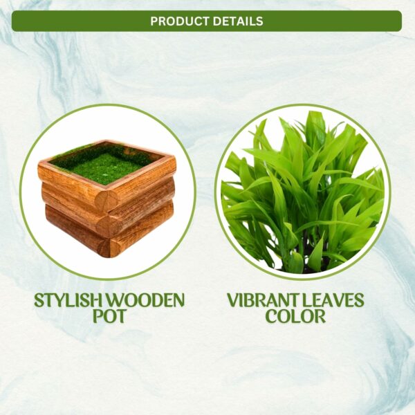Artificial Bamboo Leaves in Wooden Pot - 17 cm Home & Office D?cor - Image 4