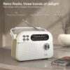 Trinity Solar-Powered MP3 Player & 3-Band Radio - Bluetooth, USB, Solar Charger