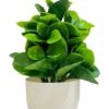 Lifelike Cotton White Pot Artificial Flower Plant for Home Decor