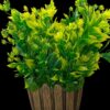 Artificial Green Bonsai Plant with Pot - 25cm for Home & Office Decor
