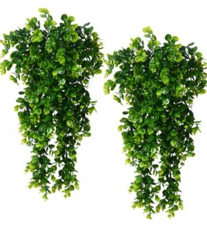 Artificial Greenery Ferns Vines for Home Decor - Pack of 1