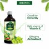 Amla Juice 1L - Natural Vitamin C for Hair & Skin Health