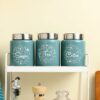 Airtight Stainless Steel Canister Set of 3 - 800ml Moss Green