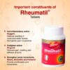 Rheumatil - Ayurvedic Pain Relief Tablets, 90 Count
