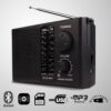 Portable 4 Band FM Radio with Bluetooth Speaker & MP3 Player