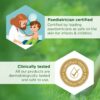 Odomos Naturals Mosquito Repellent Spray - 100 Ml, Natural & Long-Lasting