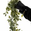 Mini Plastic Potted Vine Plant for Home Office & Bathroom D?cor