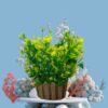 Artificial Green Bonsai Plant with Pot - 25cm for Home & Office Decor