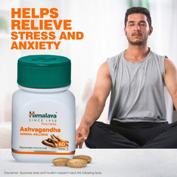 Ashwagandha Wellness Tablets for Stress Relief & Energy - 60 Tablets - Image 4