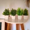 Eucalyptus Potted Faux Plants - Indoor & Office Decor (Pack of 4)