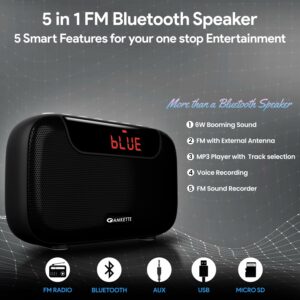 5 in 1 Bluetooth FM Radio with Powerful Sound & Recording