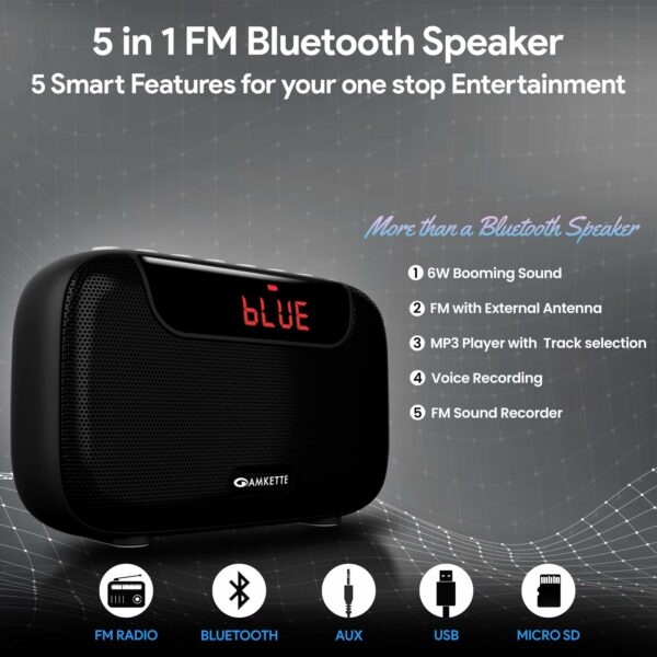 5 in 1 Bluetooth FM Radio with Powerful Sound & Recording